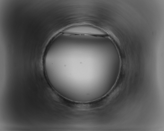 X0000092090789200710031153