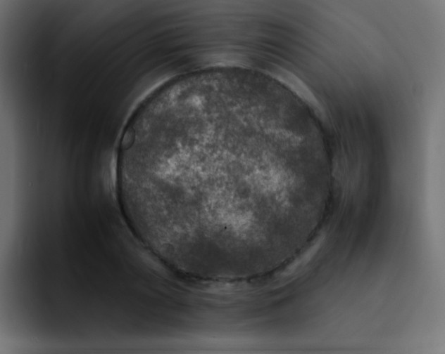 X0000092090790200710031153