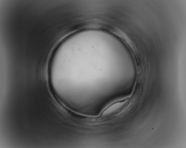 X0000092090795200710031153