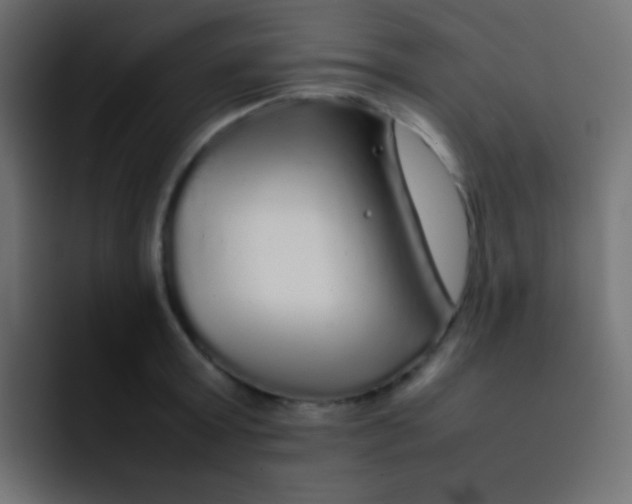 X0000092090803200710031153