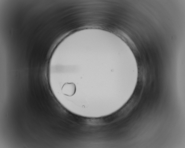 X0000092090804200710031153