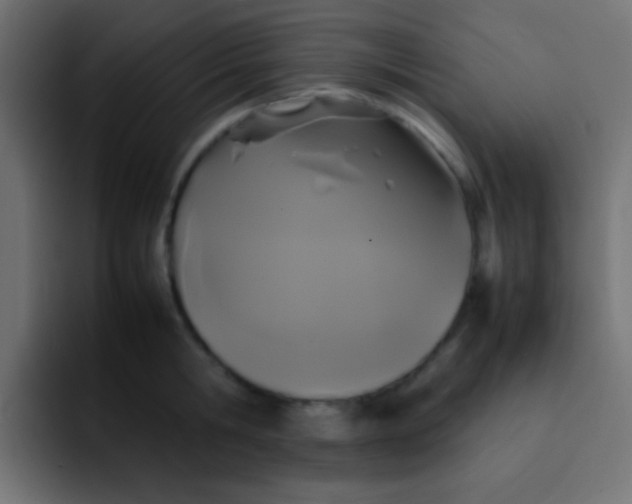 X0000092090806200710031153