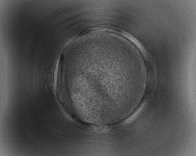 X0000092090809200710031153