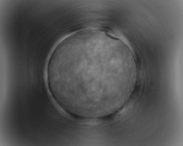 X0000092090811200710031153