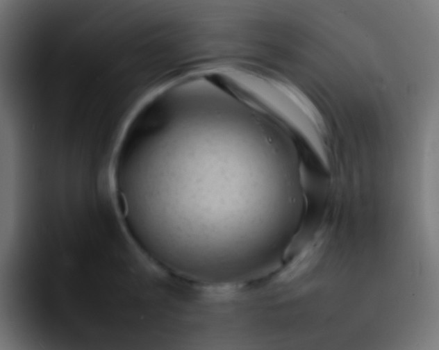 X0000092090813200710031153