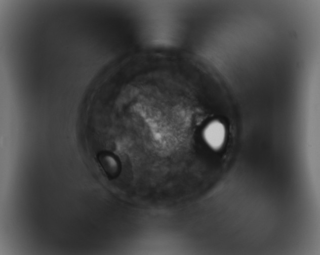 X0000092090817200710031152