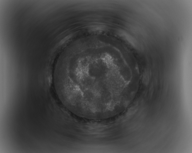 X0000092090821200710031152