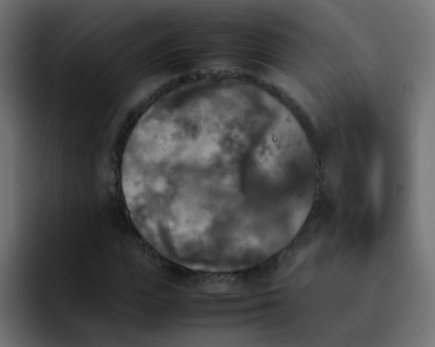 X0000092090823200710031152