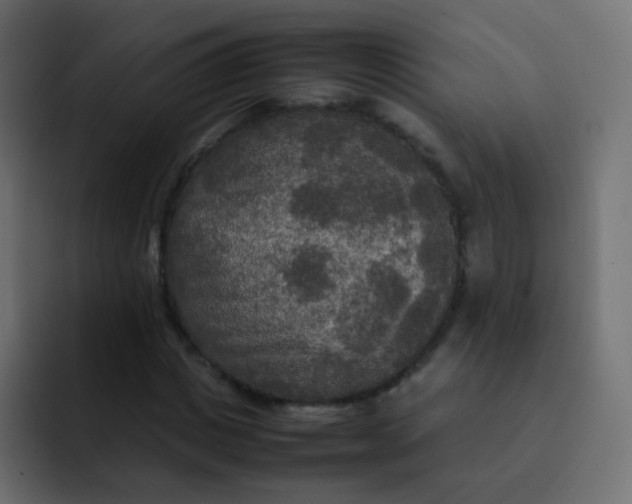 X0000092090825200710031152