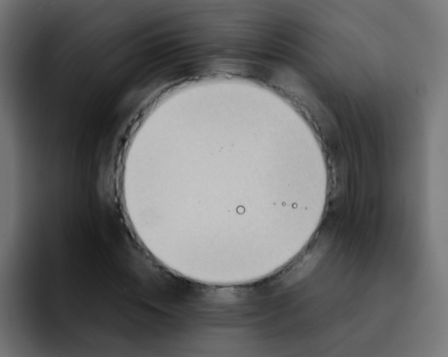 X0000092090828200710031153