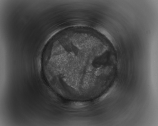 X0000092090829200710031153