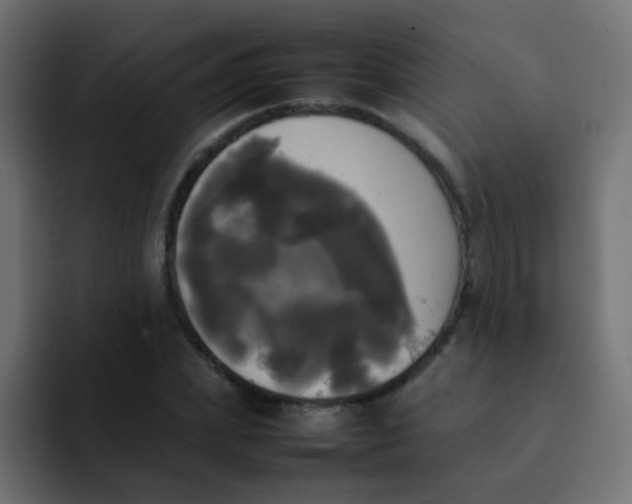 X0000092090831200710031153