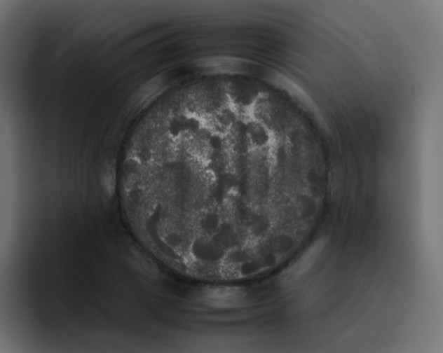 X0000092090833200710031153