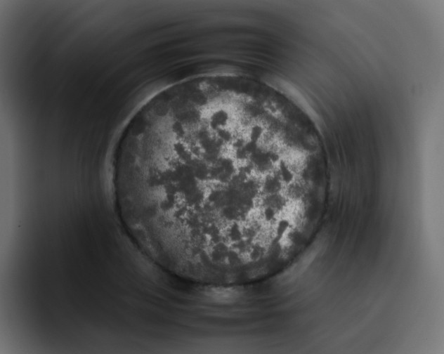 X0000092090835200710031153