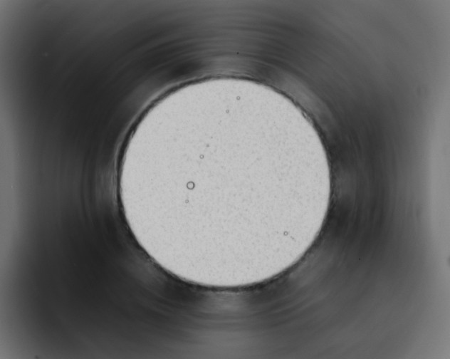 X0000092090836200710031153