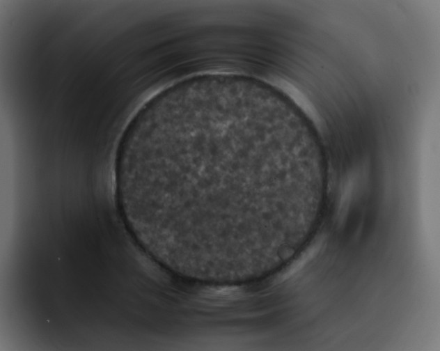 X0000092090837200710031153