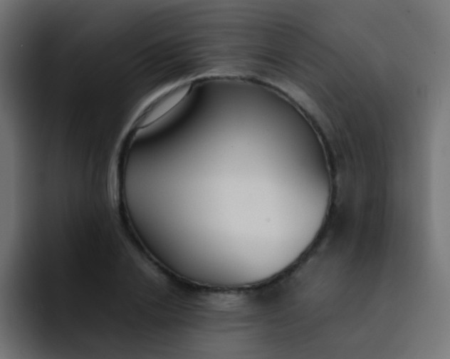 X0000092090838200710031153