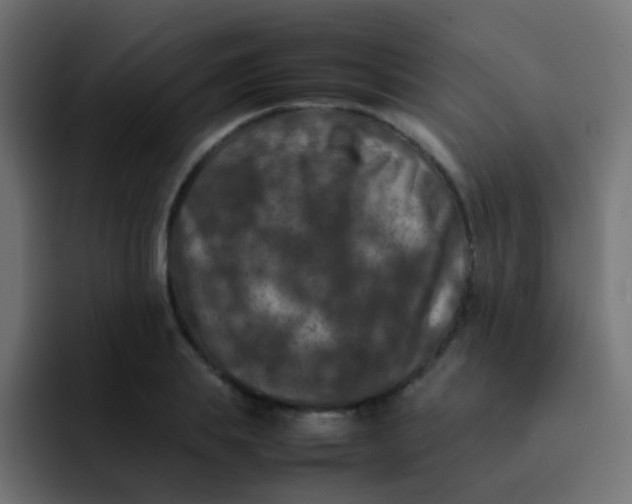 X0000092090839200710031153