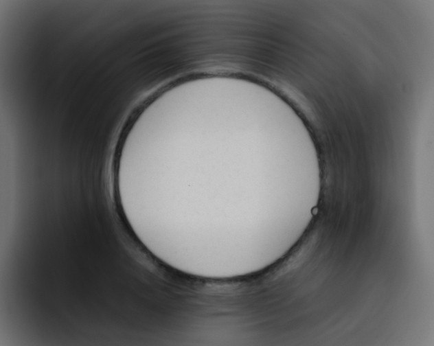 X0000092090840200710031153