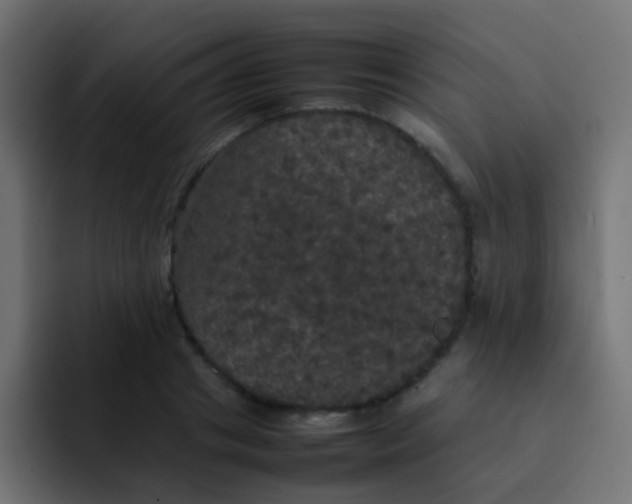 X0000092090841200710031153