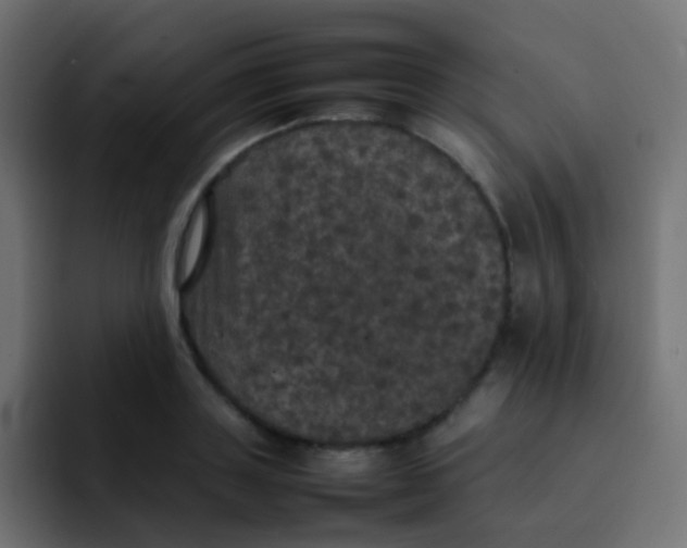 X0000092090843200710031153