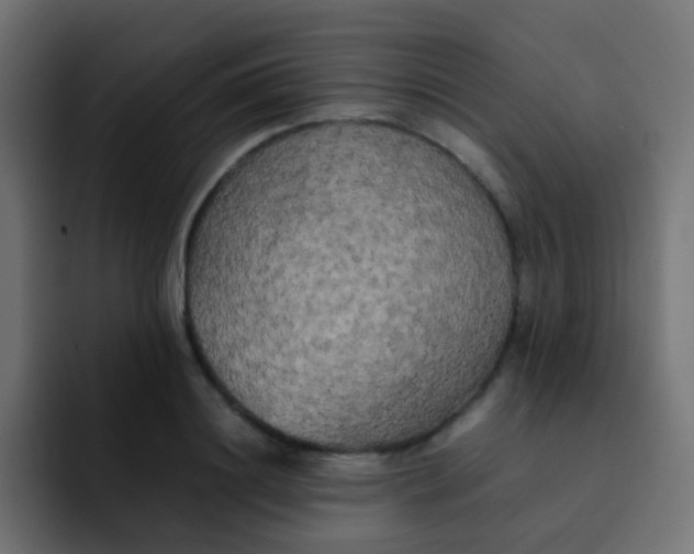 X0000092090844200710031153