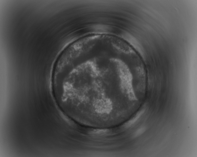 X0000092090845200710031153