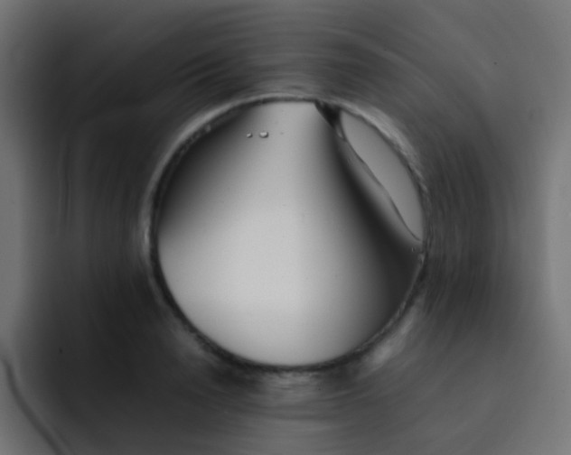 X0000092090846200710031153