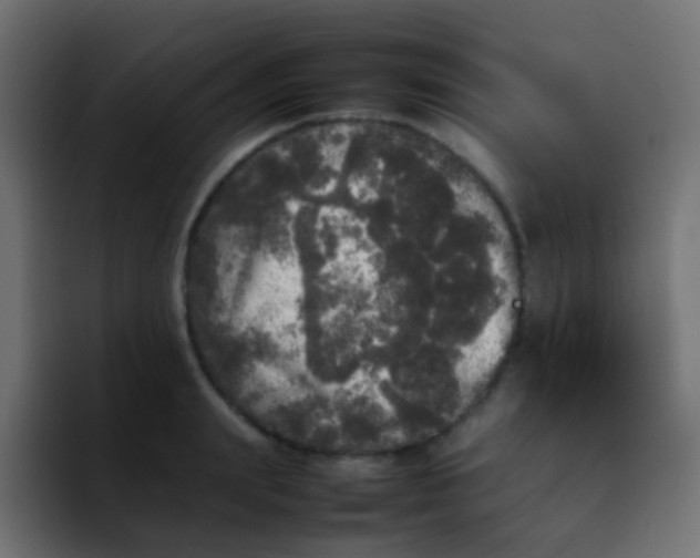 X0000092090847200710031153