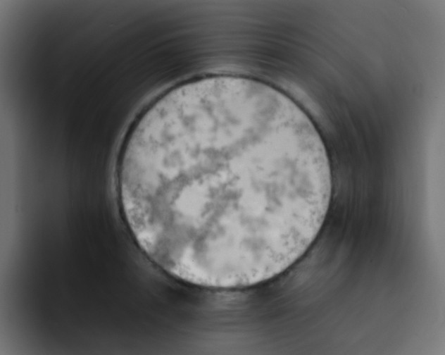 X0000092090848200710031153