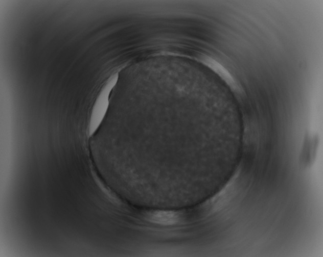 X0000092090849200710031153