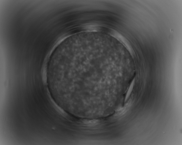 X0000092090851200710031153