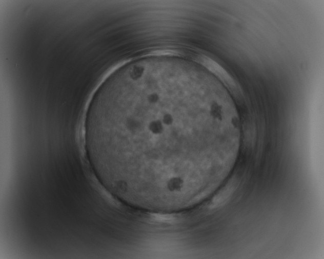 X0000092090852200710031153