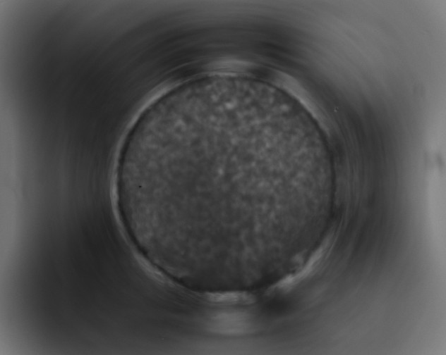 X0000092090853200710031153