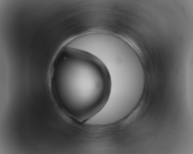 X0000092090854200710031153