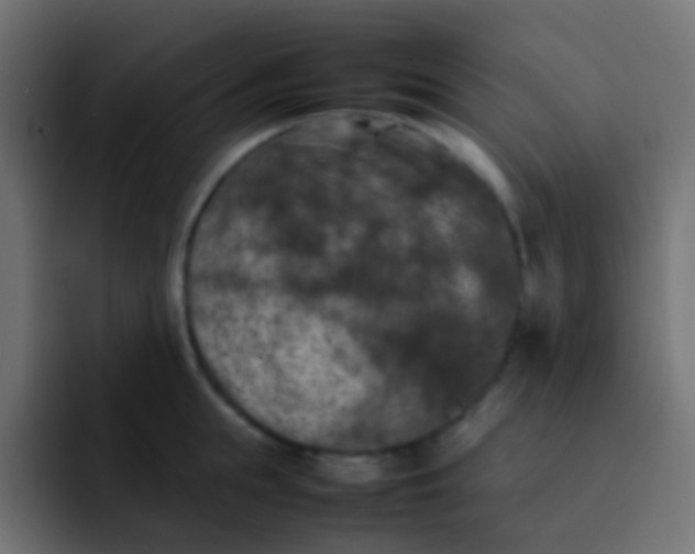 X0000092090855200710031153