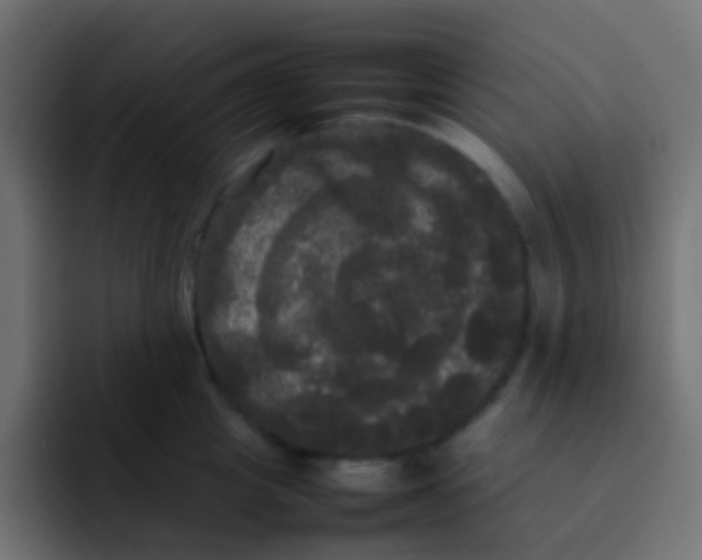 X0000092090857200710031153