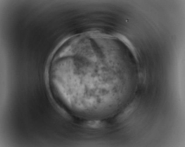 X0000092090859200710031153