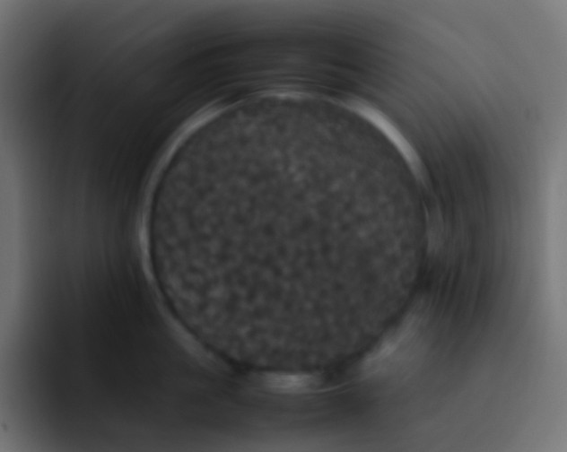 X0000092090861200710031153