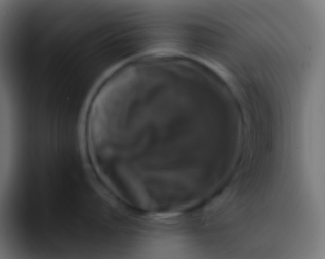 X0000092090864200710031153