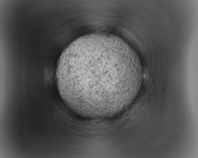 X0000092090867200710031152