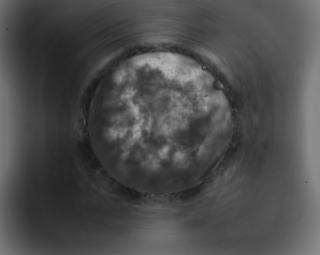 X0000092090871200710031152