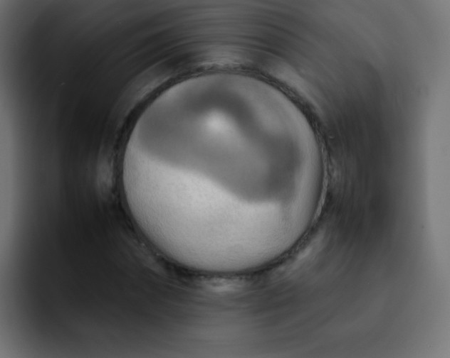 X0000092090874200710031152