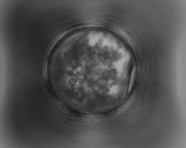 X0000092090875200710031152