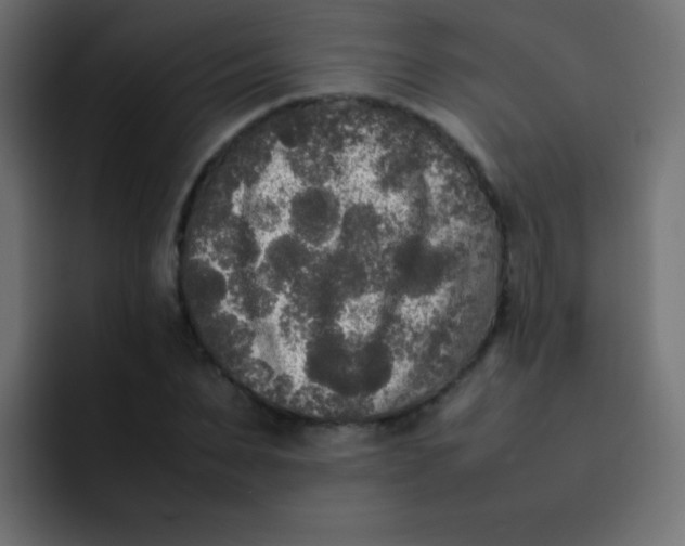 X0000092090879200710031152