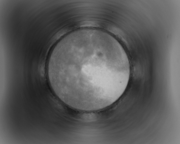 X0000092090882200710031152