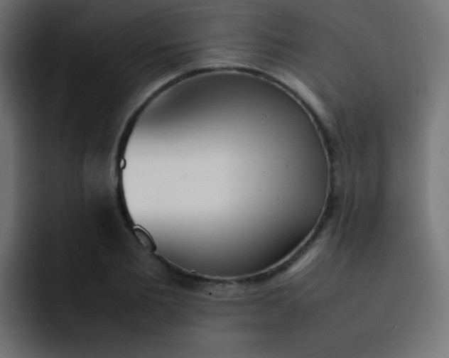 X0000092090885200710031152