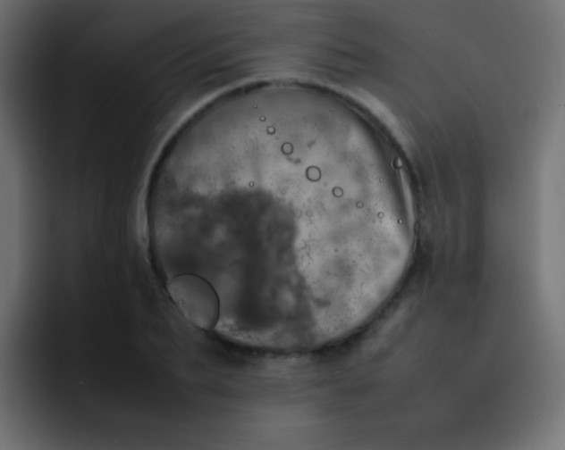 X0000092090887200710031152