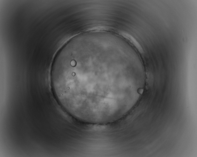 X0000092090890200710031152