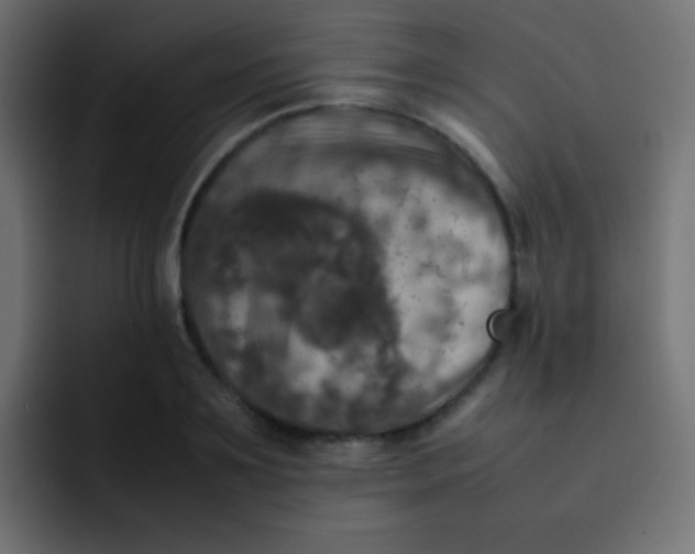 X0000092090891200710031152